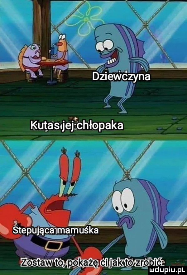 a f step ującawmamuśka ludupiu. pl to