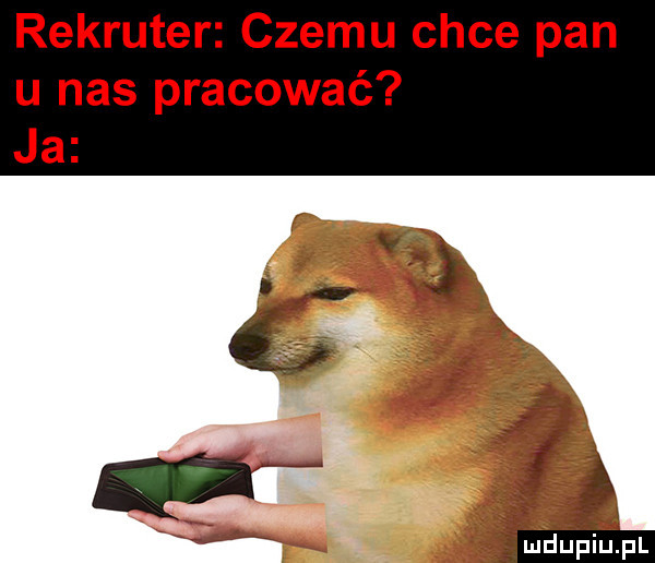 rekruter czemu chce pan u nas pracować ja