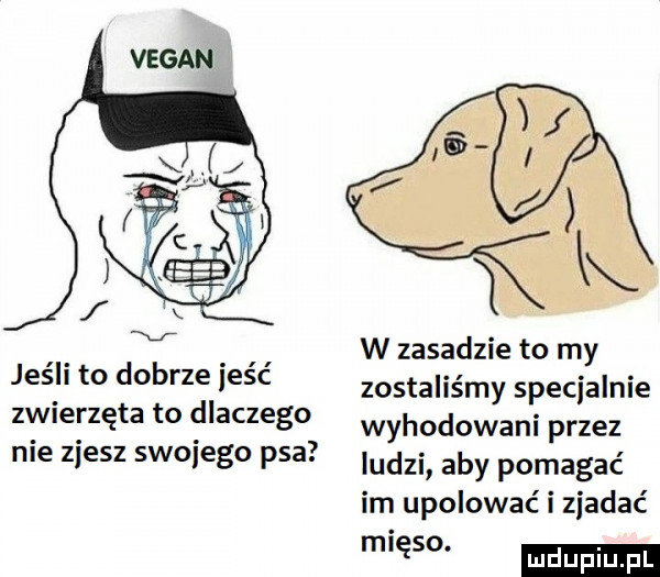 w zasadzie to my zostaliśmy specjalnie wyhodowani przez ludzi aby pomagać im upolować i zjadać ęso jeśli to dobrze jeść zwierzęta to dlaczego nie zjesz swojego psa