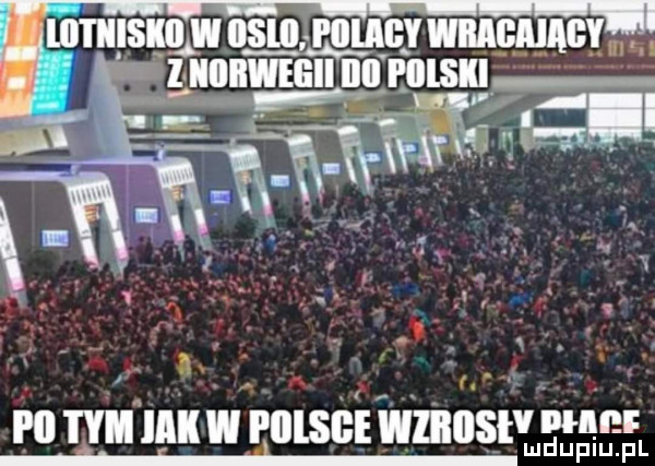 rn mn mu w muse wmnsąmsą i. i p