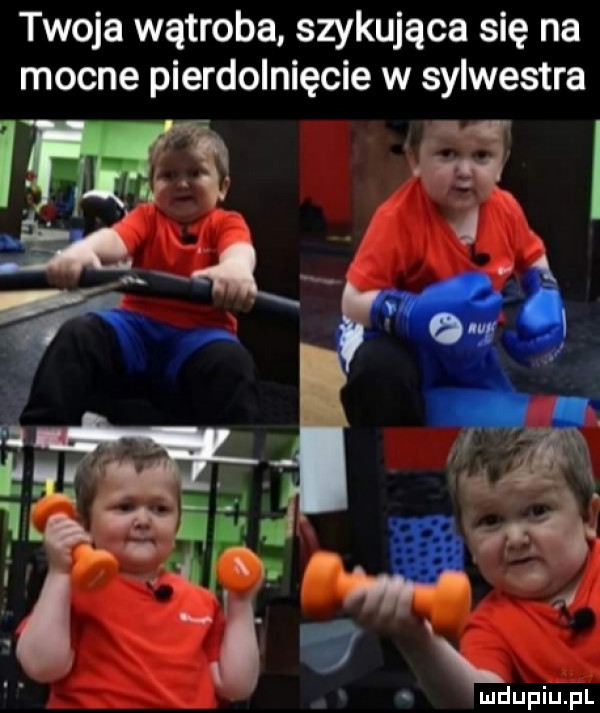 twoja wątroba szykująca się na mocne pierdolnięcie w sylwestra