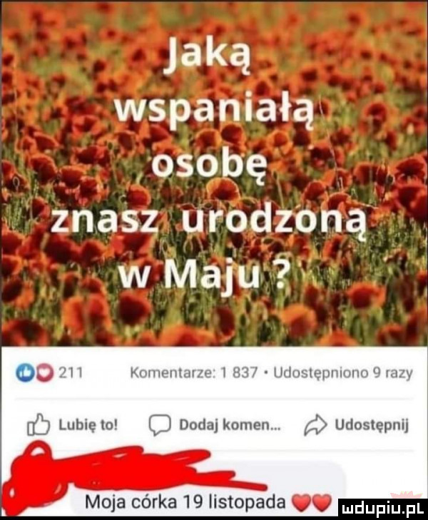 jaką wspaniałą. a ośqbę znasz urodzoną w maju lr x.      komeumrzr w    udusxępmmm u my d lubięlo c dodaj kamen. udostępnij moja córka    listopada. mdupiu fl