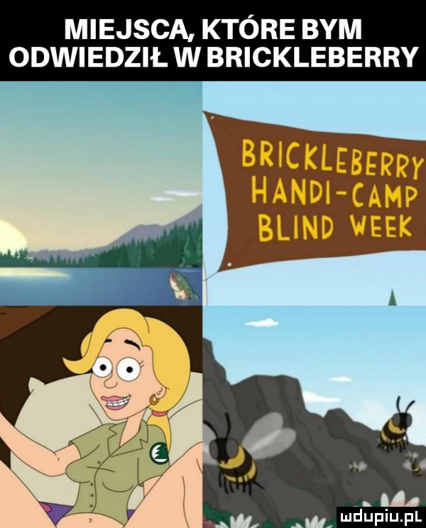 miejsca które bym odwiedził w brickleberry brickleberry hanul camp blind wiek. lh mduplu pl