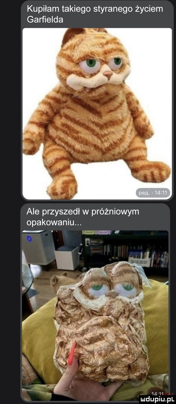 kupiłam takiego styranego życiem garfielda ale przyszedł w próżniowym opakowaniu. va i l