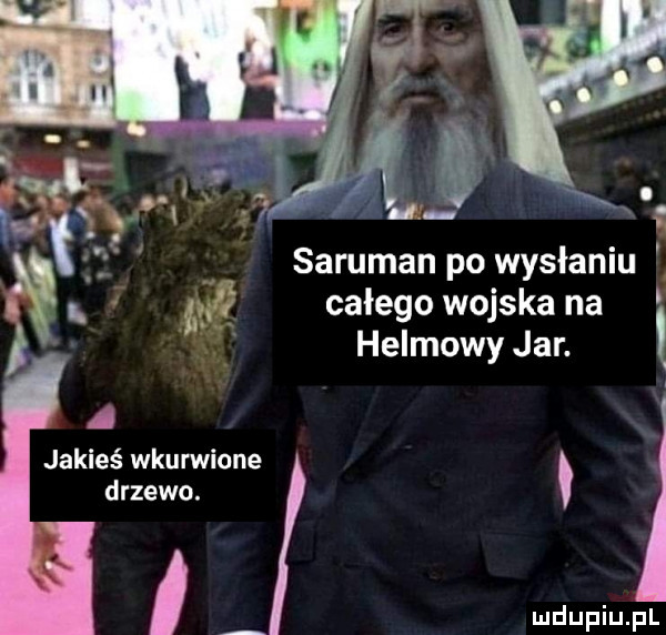 rl. x i saruman po wysłaniu f. całego wojska na helmowy jar. i a jakieś wkurwione drzewo. abakankami a