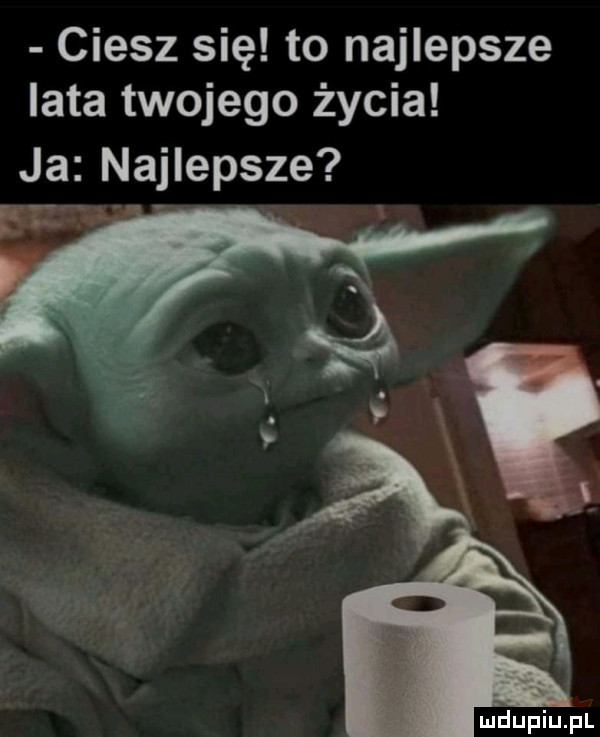 ciesz się to najlepsze lata twojego życia ja najlepsze