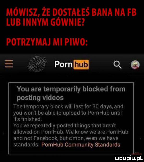 mówisz że dostałeś bana na fb lub innym gównie potrzymaj mi piwo pom q o y-u are temporarily blocked from posting videos tee temporary block will list for    dans and y-u won t be able to upload to pornhub until ii s ﬁnished. y-u ve repeatedly posted things trat aren t allowed on pomhub. we know we are pornhub and not facebook. bul c mon eden we hace standards pornhub community standards