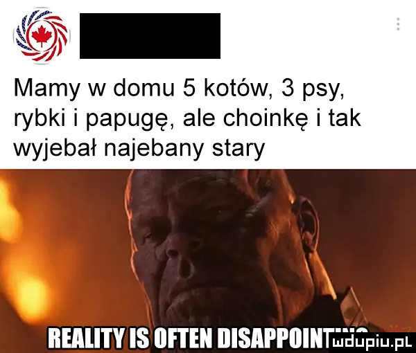 mamy w domu   kotów   psy rybki i papugę ale choinkę i tak wyjebał najebany stary iłeali i y is iifi ebi iiisipi iiiiitł jepqul