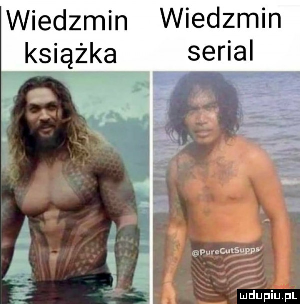 wiedzmin wiedzmin książka serial