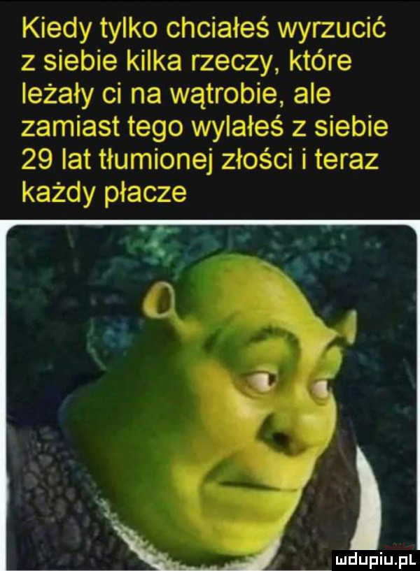 kiedy tylko chciałeś wyrzucić z siebie kilka rzeczy które leżały ci na wątrobie ale zamiast tego wylałeś z siebie    lat tłumionej złości i teraz każdy płacze