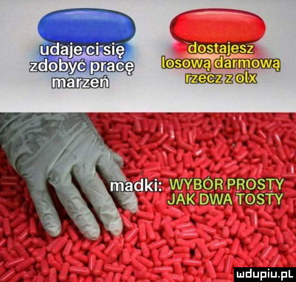 ud a je ci s ię qubyc pracę mm muz kn. v v w. ybór pas t y  . jakdwat t. abakankami. elfvv l. abakankami v n l
