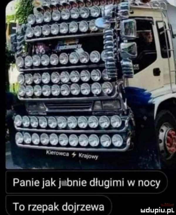 paniejak jebnie długimi w nocy to rzepak dojrzewa