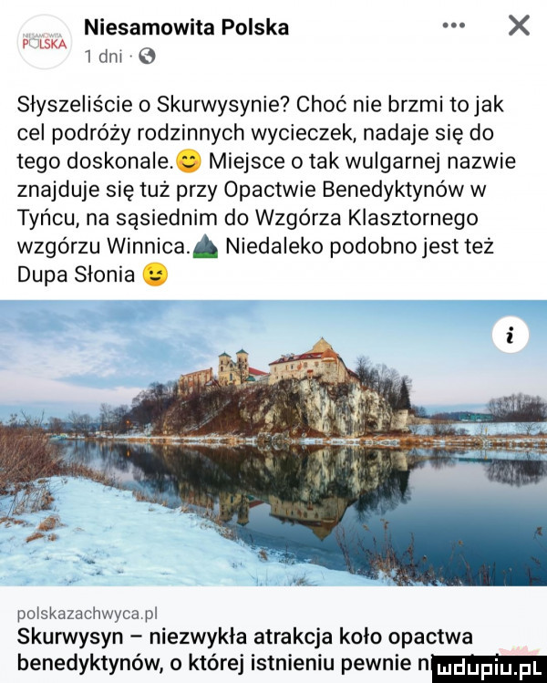 niesamowita polska x pl ska  dm słyszeliście o skurwysynie choć nie brzmi to jak cel podróży rodzinnych wycieczek nadaje się do tego doskonale. miejsce   tak wulgarne nazwie znajduje się tuż przy opactwie benedyktynów w tyńcu na sąsiednim do wzgórza klasztornego wzgórzu winnica. niedaleko podobnojest też dupa słonia. polskazachwyca pl skurwysyn niezwykła atrakcja koło opactwa benedyktynów o której istnieniu pewnie n