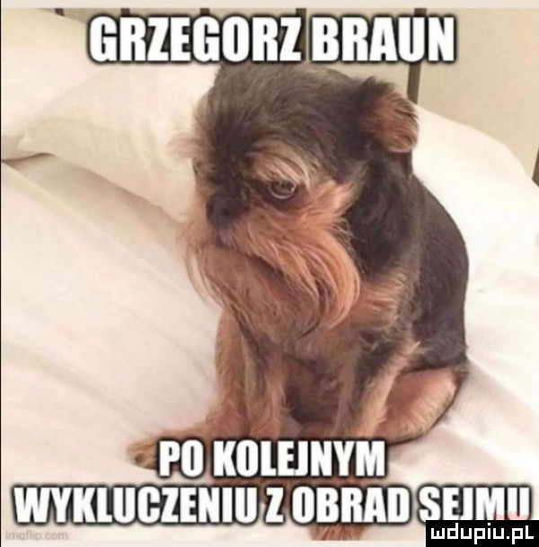 p  kﬂleinym wvklliﬂlenili i obrad seimii ludupiu. pl