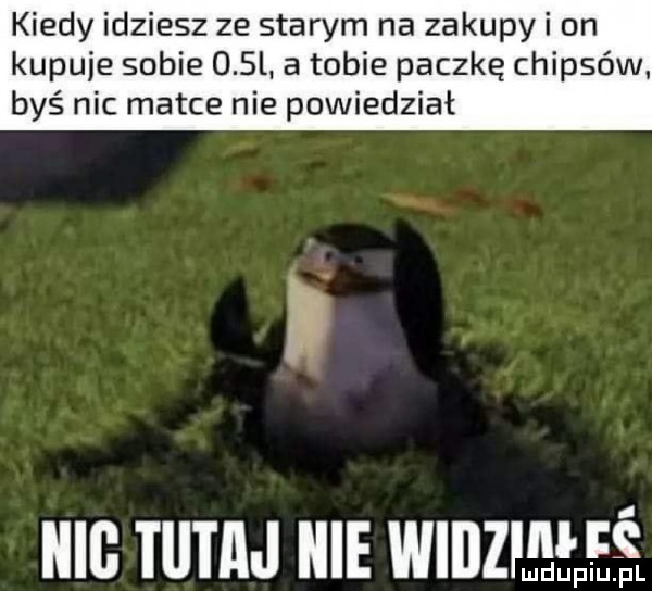 kiedy idziesz ze starym na zakupy i on kupuje sobie     . a tobie paczkę chipsów byś nic matce nie powiedział iiib tutaj nie wiiizhełeś