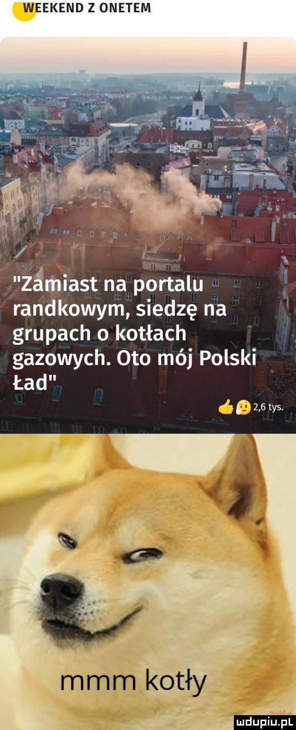 ekend z onetem i z. abakankami zamiast na portalu randkowym siedzę na grupach o kotłach gazowych. oto mój polski ład     tys