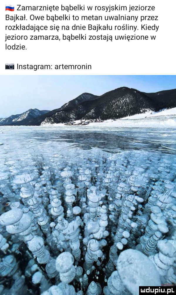 zamarznięte bąbelki w rosyjskim jeziorze bajkal. owe bąbelki to metan uwalniany przez rozkładające się na dnie bajkału rośliny. kiedy jezioro zamarza bąbelki zostają uwięzione w lodzie. lnstagram artemronin