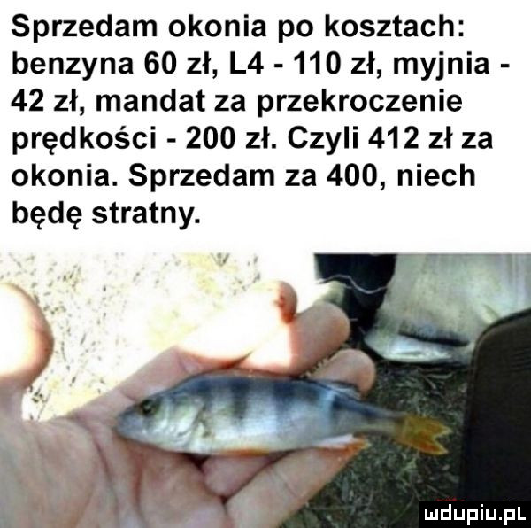 sprzedam okonia po kosztach benzyna    zł l      zł myjnia    zł mandat za przekroczenie prędkości     zł. czyli     zł za okonia. sprzedam za     niech będę stratny