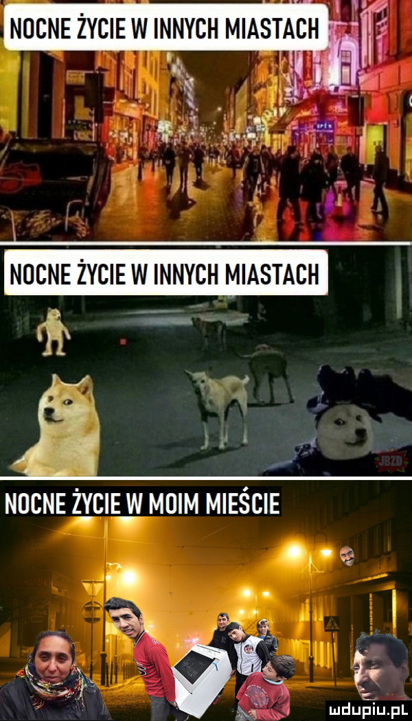 w ludupiu. pl