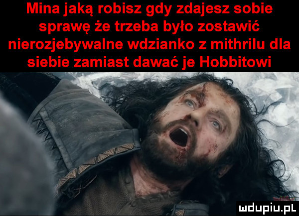 mina jaką robisz gdy zdajesz sobie sprawę że trzeba było zostawić nierozjebywalne wdzianko z mithrilu dla siebie zamiast dawać je hobbitowi