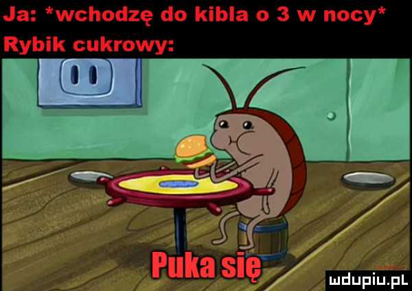 ja wchodzę do kibla o   w nocy rybik cukrowy