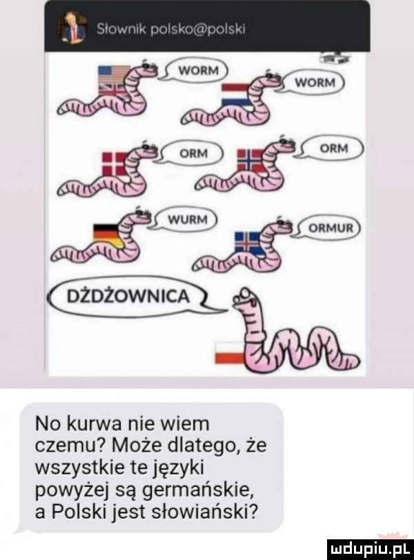 wa g    . lorm no kurwa nie wiem czemu może dlatego że wszystkie te języki powyżej są germańskie a polski jest słowiański ludu iu. l
