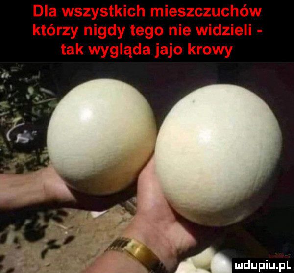 amdupiupl