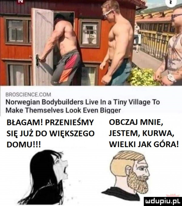 hrosch nul lium norwegian bodybuilders live in a tiny village to make themselves look eden queer błagam przenieśmy obczai mnie się już do większego jestem kurwa domu wielki jak góra ludu iu. l