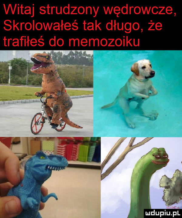 witaj strudzony wędrowcze skrolowałeś tak długo że trafiłeś do mezozoiku