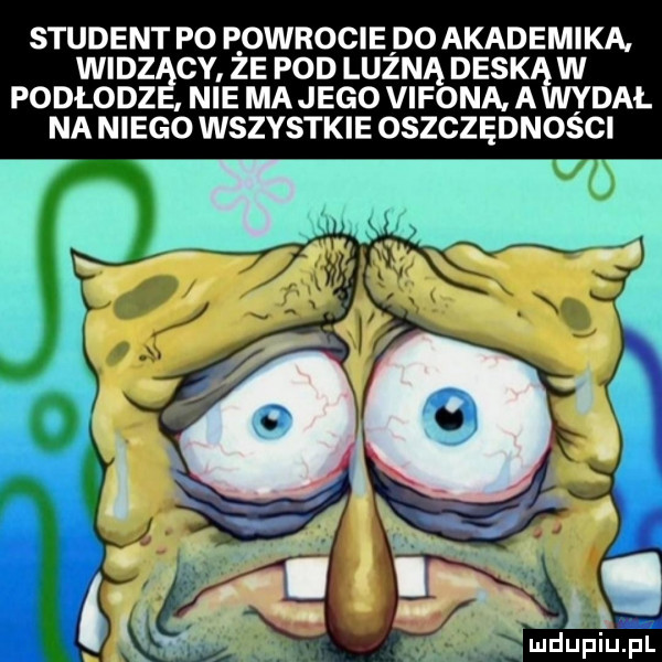 student po p obrocie d  akademika. widz cy że pod ludną dysk w podłodz nie mojego vifona a dal na niego wszystkie oszczędności mdupiuﬁi