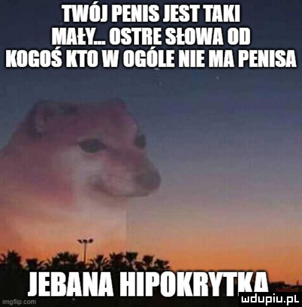 m  peiiis ihs i i apli mały. ihs i iii sława  il iiiieiis k i il w illłiile icie ma i eiiisa labana ilii iikby i ką lu u iu pl