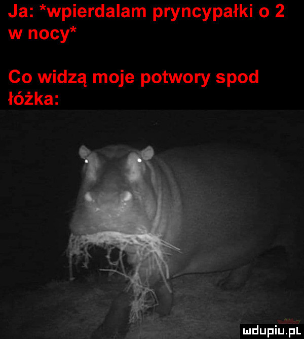 ja wpierdalam pryncypałki o   w nocy co widzą moje potwory spod łóżka udupiuiﬁ
