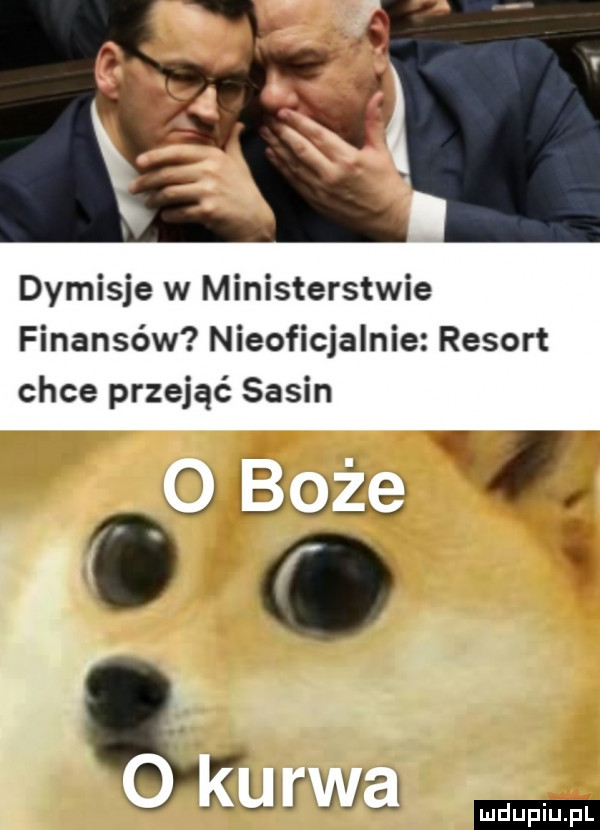 dymisje w ministerstwie finansów nieoficjalnie resort chce przejąć sasin