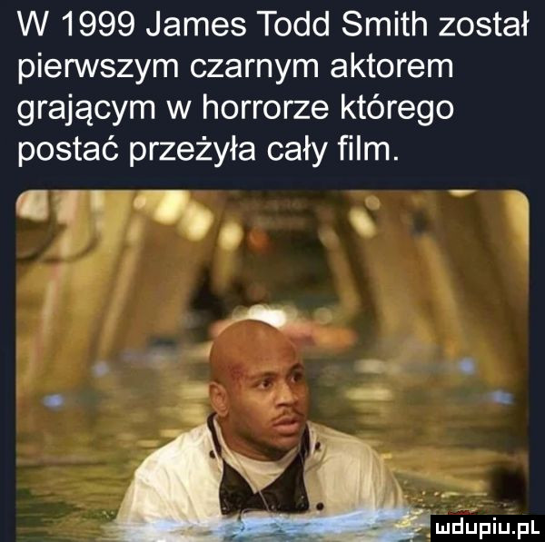 w      james todd smith został pierwszym czarnym aktorem grającym w horrorze którego postać przeżyła cały film. w    r. ludupiupl