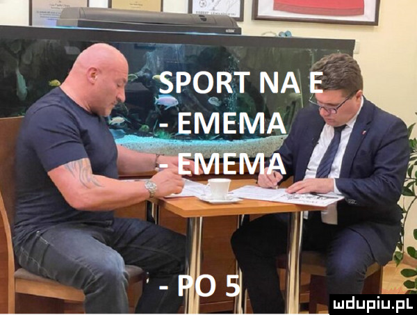 a aępqrt au g enema v lill a