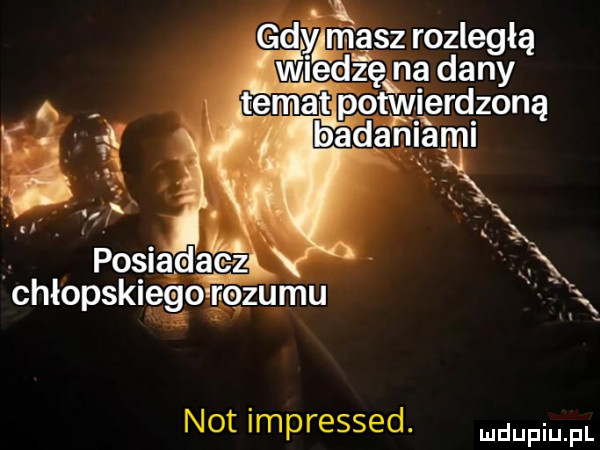 k wasz rozległą wiedźęgę dany pomwrdzoną bad eiarąiąx i poęiądac z chłopskleąo trlązumu not impressed. duciu fl