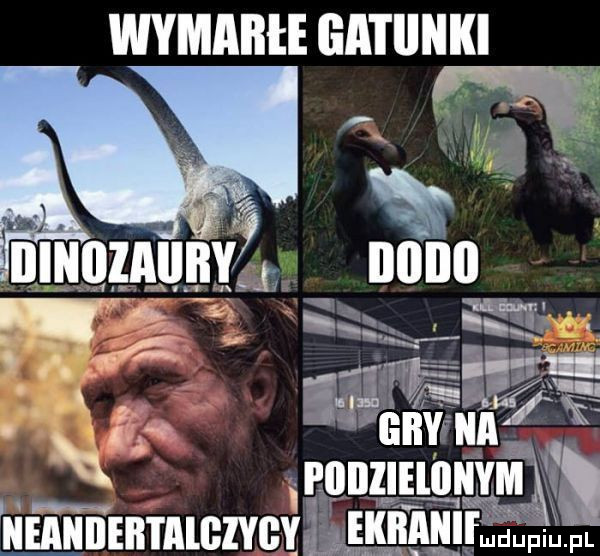 wymarłe gatunki aronzlumgfgﬂg