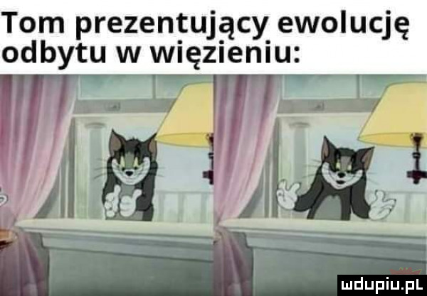 tom prezentujący ewolucję odbytu w więzieniu mdupiupl