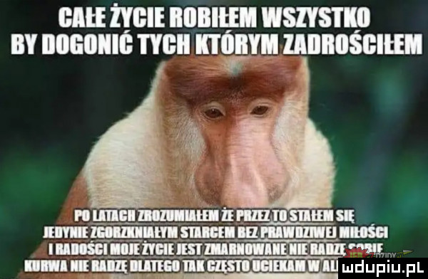 bai żabie illllllliﬂ wszystko i iiiigiiiiiś mu udy lliliiiiśbieh nim. lunallgumlguullnn i inn gw meehiiiiiiiimdupiupl