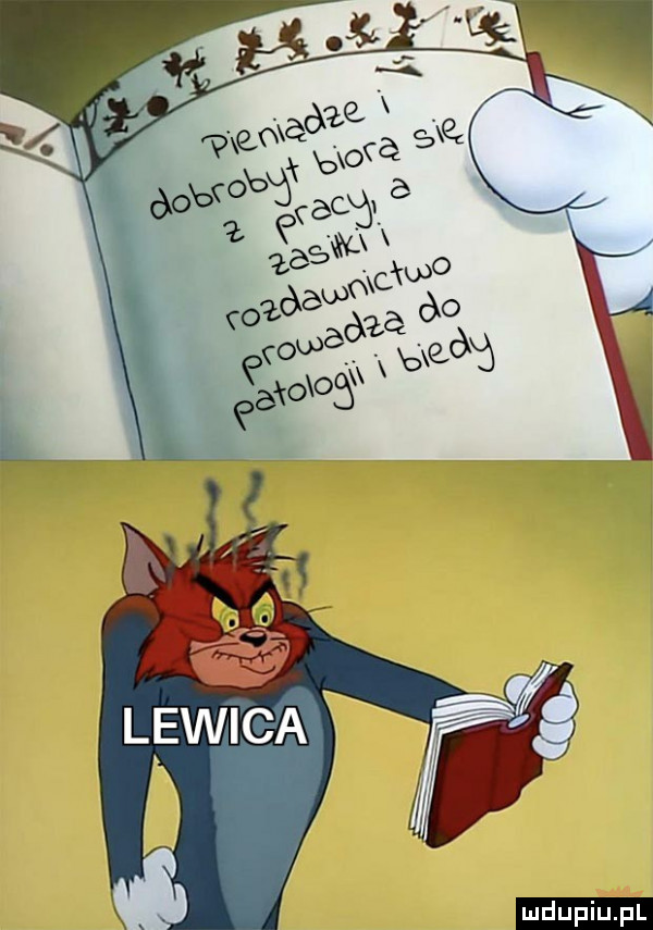 upiu pl