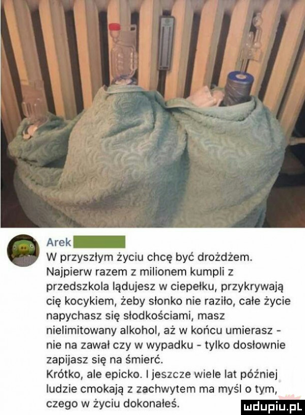 arek w przyszlym życiu chcę być drożdżem. najpierw razem z milionem kumpli z przedszkola indujesz w ciepelku przykrywają cię kocykiem żeby slonko nie razilo całe życie napychasz się słodkościami masz nielimitowany alkohol aż w końcu umierasz nie na zawal czy w wypadku tylko doslownie zapijasz się na śmierć. krótko ale epicko. i jeszcze wiele la później ludzie cmokają z zachwytem ma myśl o tym czego w życiu dokonałeś