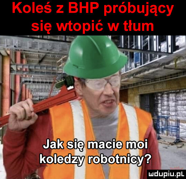 w l jak się mac le moi koledzy robotnicy