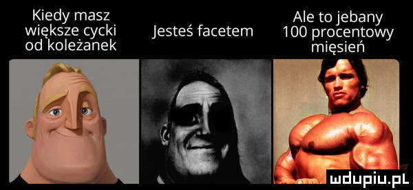 kiedy masz ale tojebany więllźsze cycki jesteś facetem     procentowy od oleżanek mięsień łęępl