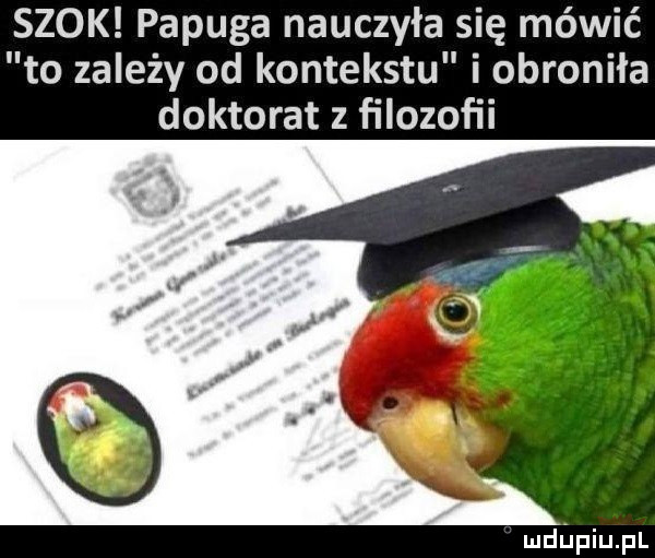 szok papuga nauczyła się mówić to zależy od kontekstu i obroniła doktorat z filozofii