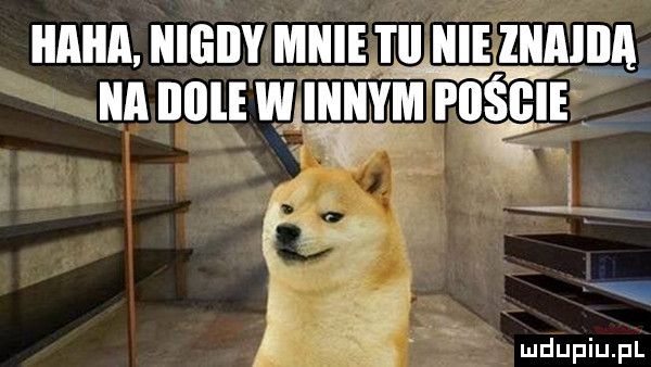 ilia nigiiy mnie i il nie iiiaiiia a noliwmnym possie   f ę. abakankami v ego t