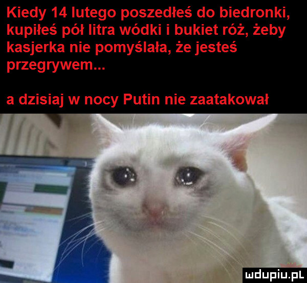 kiedy    lutego poszedłeś do biedronki kupiłeś pół istra wódki i bukiet róż żeby kasjerka nie pomyślała że jesteś przegrywem. a dzisiaj w nocy putin nie zaatakował ludu iu. l