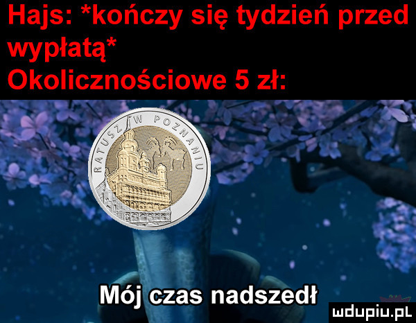 hajs kończy się tydzień przed wypłatą okolicznościowe   zł mój czas nadszedł ludupiu. pl