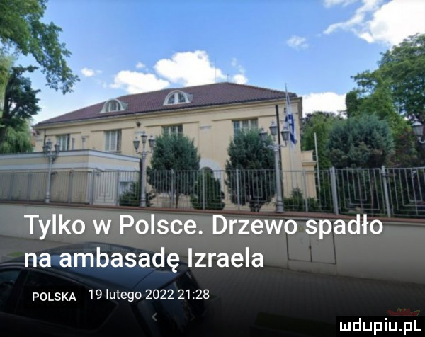 w. tylko w polsce. drzewo spadło na ambasadę izraela polska    utego          zb