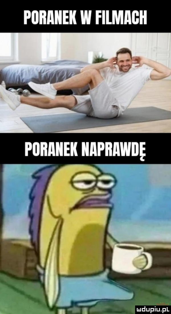 piiiimiek w filmach   poranek nipiławdę