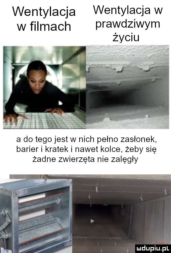 wentylacja wentylacja w w filmach prawd  wam a do tego jest w nich pełno zasłonek barieri kratek i nawet kolce żeby się żadne zwierzęta nie zalęgły. t